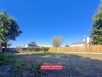 Annonce Vente Terrain Fenouiller 85