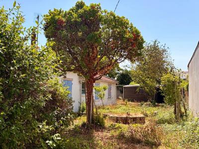 Annonce Vente 3 pi�ces Maison Reze 44