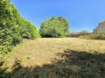 For sale Angerville 1138 m2 Essonne (91670) photo 3