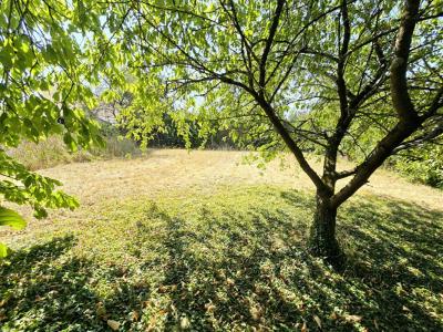 For sale Angerville 1138 m2 Essonne (91670) photo 4