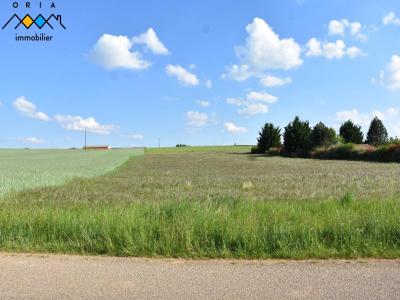 For sale Seicheprey 1814 m2 Meurthe et moselle (54470) photo 0