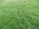For sale Land Saint-cyprien  225 m2