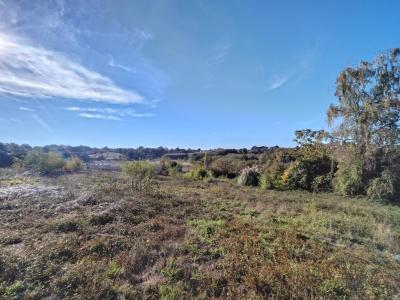 Annonce Vente Terrain Baurech 33
