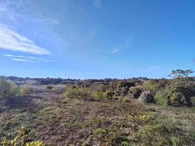Acheter Terrain 1360 m2 Baurech