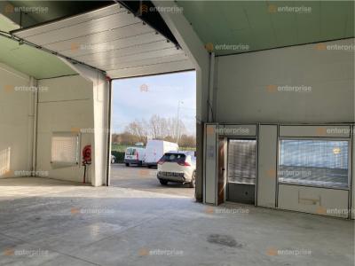 For rent Haubourdin 270 m2 Nord (59320) photo 4