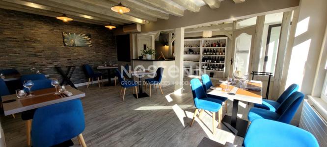 Annonce Vente Commerce Chemery 41