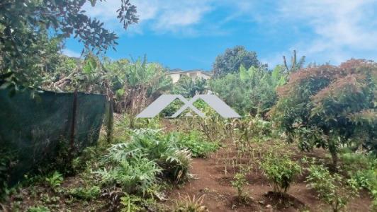 Annonce Vente Terrain Saint-leu 974