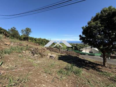 Annonce Vente Terrain Tampon 974