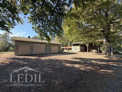 Annonce Vente 5 pi�ces Maison Eauze 32