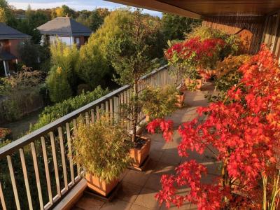 Annonce Vente Appartement Vaucresson 92