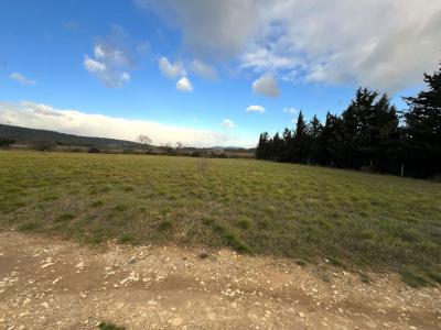 Annonce Vente Terrain  11