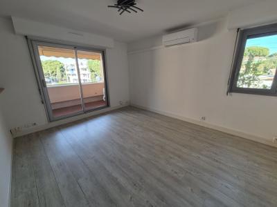Annonce Location 2 pi�ces Appartement  34