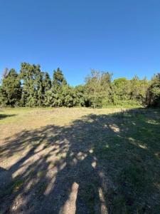 For sale Molleges 1186 m2 Bouches du Rhone (13940) photo 1