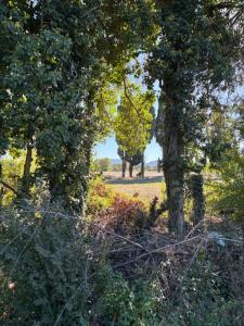 For sale Molleges 1186 m2 Bouches du Rhone (13940) photo 2