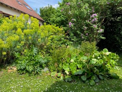 Acheter Maison Saint-germain-les-corbeil Essonne