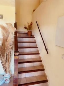 Louer Maison Castellare-di-casinca 450 euros
