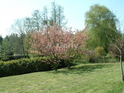Acheter Terrain 1000 m2 Gif-sur-yvette