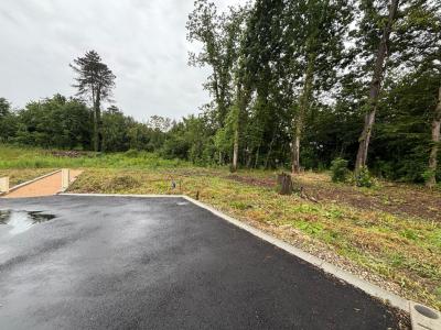 Annonce Vente Terrain Saint-jean-de-soudain 38