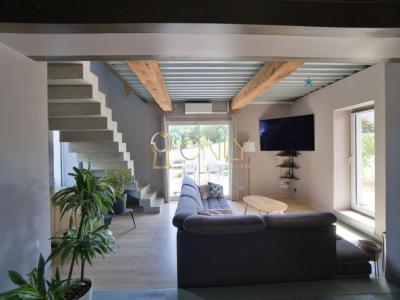 Acheter Maison Saint-didier-de-formans 465000 euros
