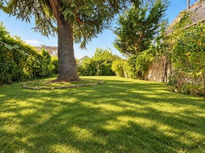 Acheter Maison Clayes-sous-bois 262500 euros