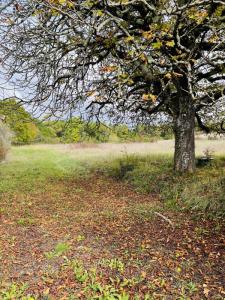 For sale Cursan 751 m2 Gironde (33670) photo 1