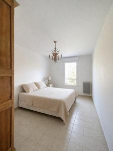 Acheter Appartement Avignon Vaucluse