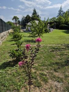 Acheter Prestige Aubenas Ardeche
