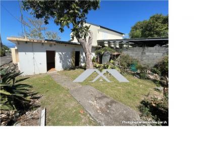 Annonce Vente 4 pi�ces Maison Riviere-saint-louis 974