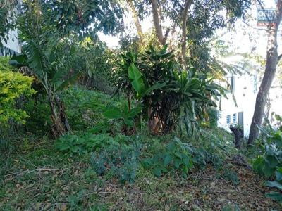 Annonce Vente Terrain Saint-gilles-les-hauts 974
