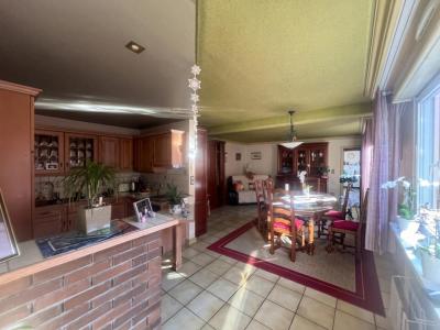 For sale Gries 6 rooms 154 m2 Bas rhin (67240) photo 1