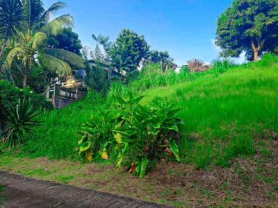 For sale Riviere-pilote 378 m2 Martinique (97211) photo 1