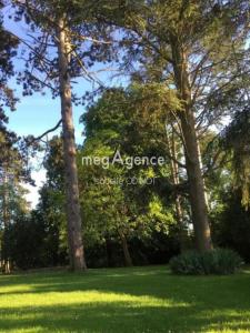 Annonce Vente Terrain Prunay-le-temple 78
