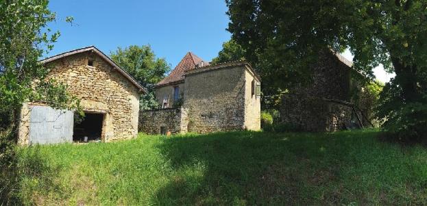 Annonce Vente 8 pi�ces Maison Cenac-et-saint-julien 24