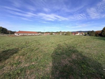 Acheter Terrain Melisey 325000 euros
