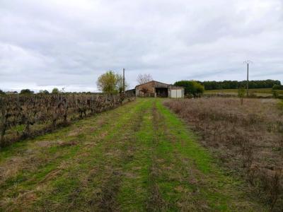 Acheter Maison Berson Gironde