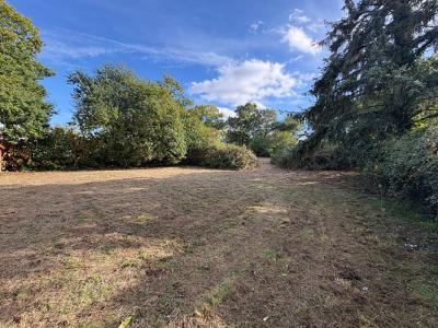 Annonce Vente 3 pi�ces Maison Riec-sur-belon 29