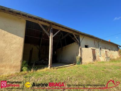 Acheter Maison 230 m2 Vignoux-sur-barangeon