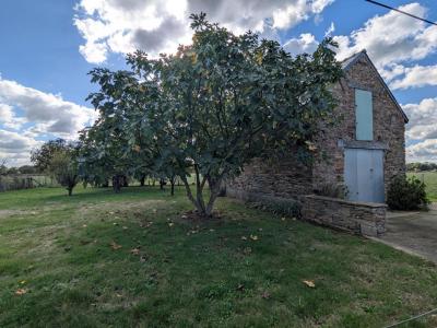 Annonce Vente 6 pi�ces Maison Campbon 44