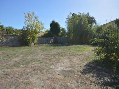 For sale Sainte-soulle 490 m2 Charente maritime (17220) photo 2