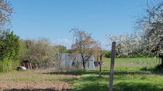 Annonce Vente 5 pi�ces Maison Lucay-le-male 36