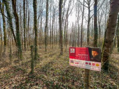 Annonce Vente Terrain Thenioux 18
