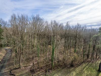 Acheter Terrain Thenioux Cher