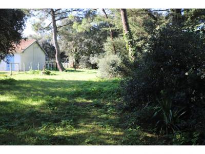 For sale Saint-georges-d'oleron 990 m2 Charente maritime (17190) photo 0
