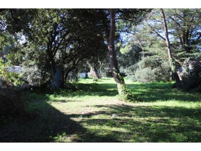 Annonce Vente Terrain Saint-georges-d'oleron 17