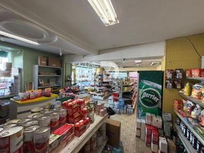 Annonce Vente Immeuble Baconniere 53
