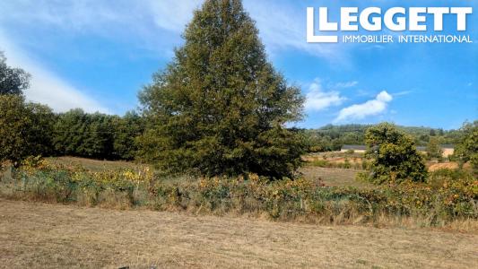 Acheter Maison 275 m2 Chapelle-montbrandeix