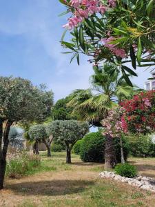 For rent PORT ROYAL RG 1 room 20 m2 Gard (30240) photo 1