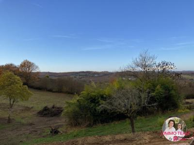 Annonce Vente Terrain Molieres 82