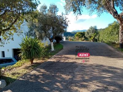 For sale Sainte-lucie-de-porto-vecchio 6 rooms 147 m2 Corse (20144) photo 3