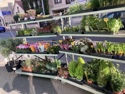 Acheter Local commercial Alfortville Val de Marne